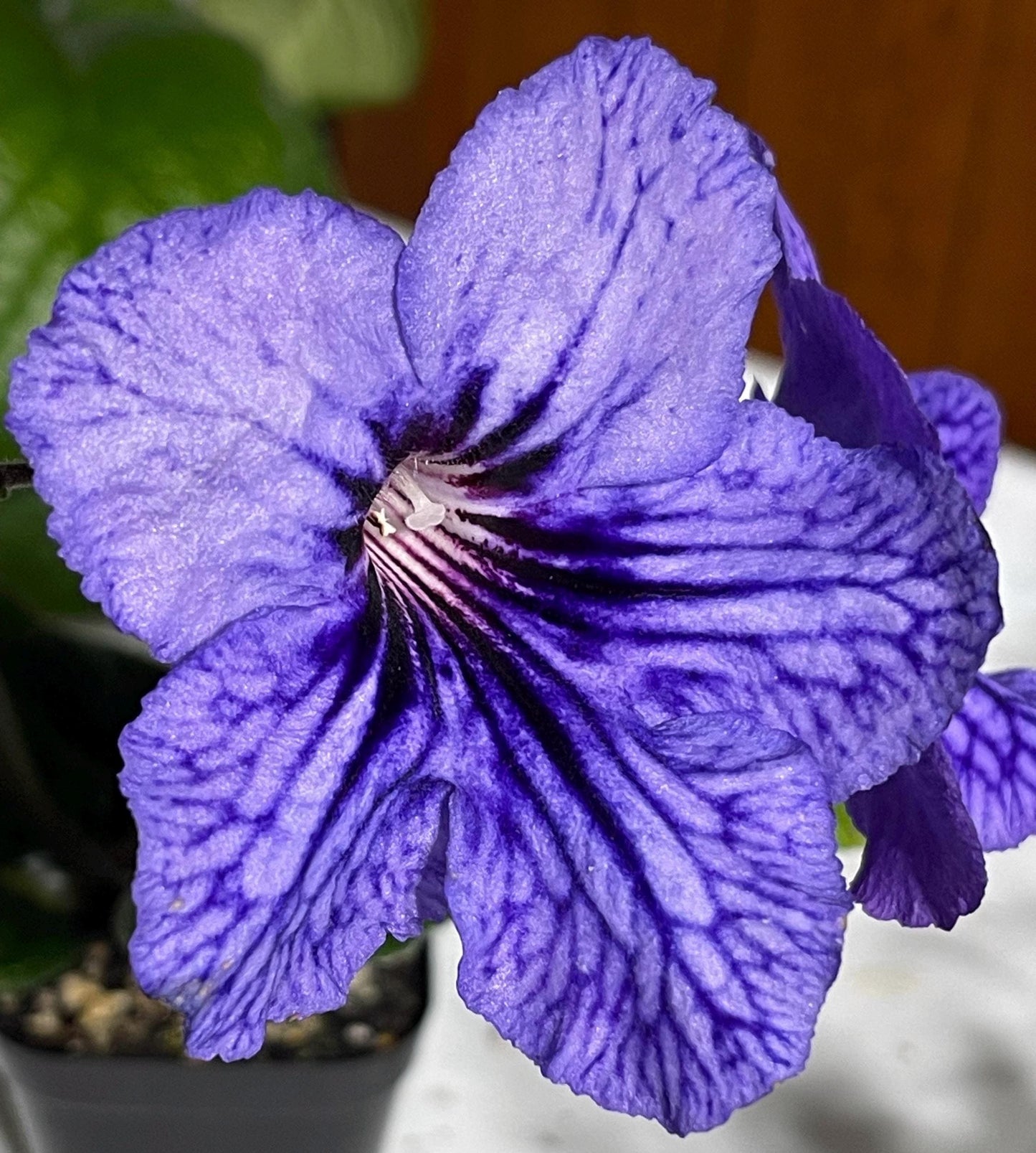 BB 3039